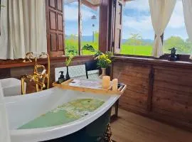 Fieldlight & pool