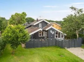 Amazing Home In Hemmet With Wifi