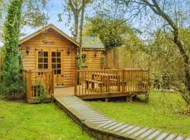 Bears House