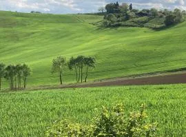 65 m2 de plain-pied dans maison confortable avec vue sur la vallée et les Pyrénées ariégeoises, grande terrasse avec barbecue et parking gratuit