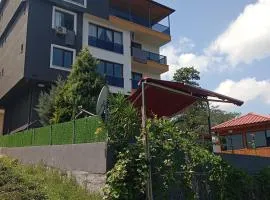 Sama house