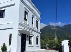 光美的家