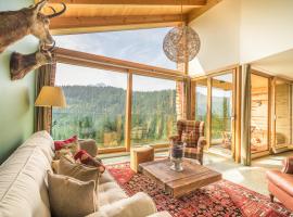 Edelweiss Ferienwohnung, Las Fluras Alpine Penthouse，位于弗利姆斯的酒店