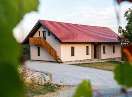 Apartma EVA，位于Ormoz的酒店