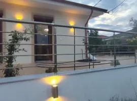 Δίκταμο