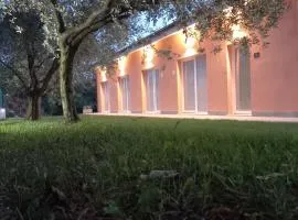 Agriturismo Ai Progni