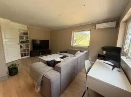 Moderne 3-roms nær sentrum