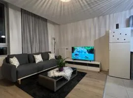 Chambre dans appartement