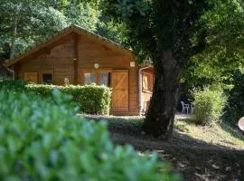 Chalet spacieux pour 8 avec terrasse à Sauveterre-de-Rouergue - API-1-52-366