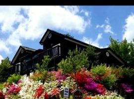 Gilson Story Pension，位于平昌的乡村别墅