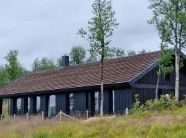 Levehytta - cabin with a view at 1000 masl