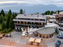 Hotel Dolomiti Chalet，位于法申的酒店