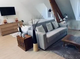 Charming Apartment Gace VI