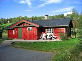 Tveitehaug cabin, 3-4 bedroom cabin close to ski center