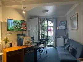 Amplia Habitación tipo Ejecutiva con baño y acceso privados