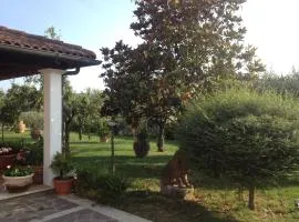 La Spiga
