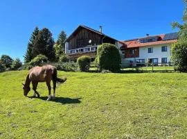 Alpen Panoramahof