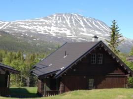 Kvit&aring;vatn Fjellhytter，位于Gaustablikk的木屋