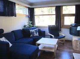 Actif 413 - apartment close to Ål Ski Centre