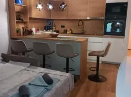 Studio apartman Hušnjakovo Hill