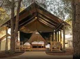 Ortal Glamping
