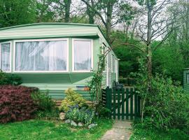 Family-Friendly Woodland Caravan Pool & Bar，位于Bryn-glâs Station的酒店