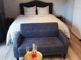 Studio "Coeur du Lac"，位于维尔雅尔姆的酒店