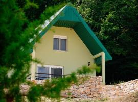 Forest Panorama Cabin Brezna，位于普卢日内的酒店