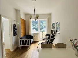 Cozy apartment with VIEWS