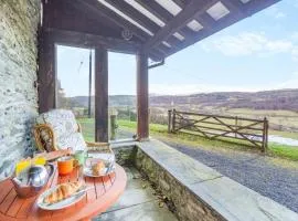 Tyn Y Fron Barn