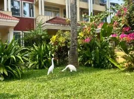 Amber- Sun-Kissed Holidays, Goa