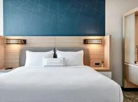 SpringHill Suites by Marriott High Point Downtown
