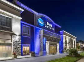 酒吧港贝斯特韦斯特酒店