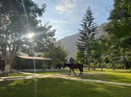 Raíces de Luna