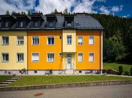 Wohnung in Sankt Lambrecht am Skilift