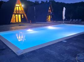 Borlova Frame，位于Borlova的山林小屋