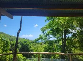 cabane entre les arbres famille