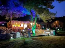 Pine Village Bungalows Ölüdeniz