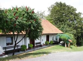 Vineyard cottage Ranč pri Hanzeku