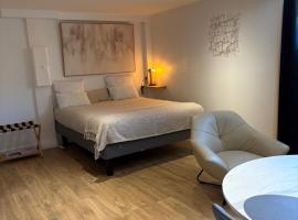 Studio équipé Lyon Eurexpo Le Chasseland，位于沙西约的酒店