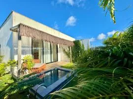 Casa com piscina privativa Praia da Pipa #2