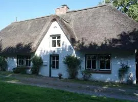 Ferienhaus Borsthusen