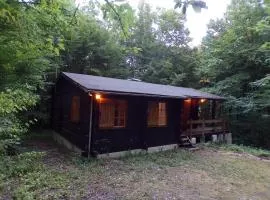 Refuge Nature - Chalet avec Terrasse vue forêt