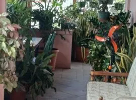 PeachBloom Terrace Inn