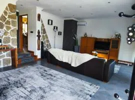 Esposende Charming Villa With Garden