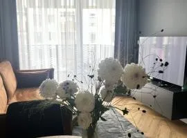 Apartament Grafitowy