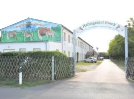Haflingerhof Noack