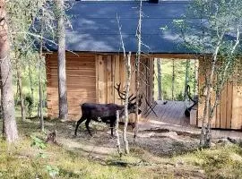 Log House and New Sauna Pikariporras