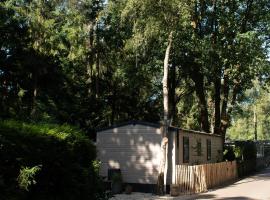 't Veluws Nest - Knus Chalet Veluwe - Hoenderloo, Honden welkom，位于洪德洛的酒店