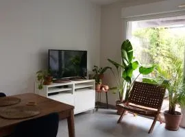 Modern house with private garden